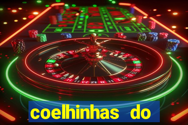 coelhinhas do brasil recife